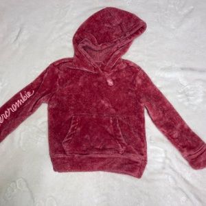 Abercrombie and Fitch hoodie